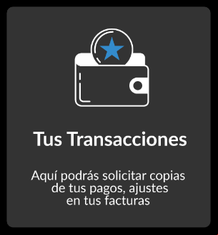 Tus Transacciones