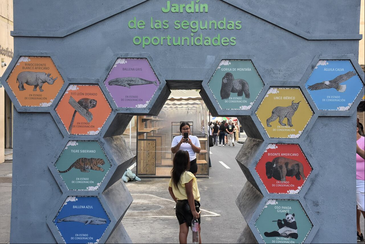 Zona Verde COP16.