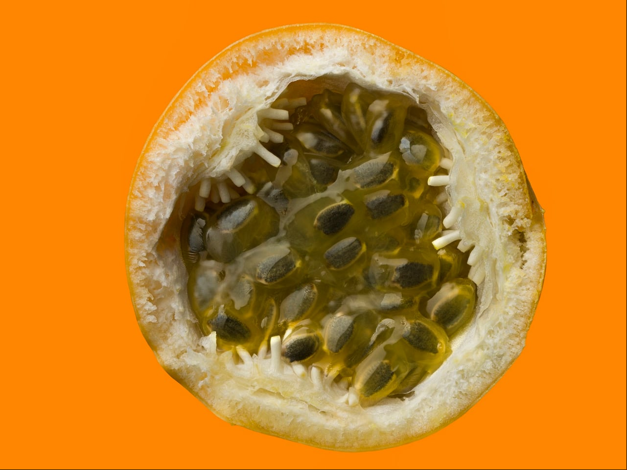 Granadilla