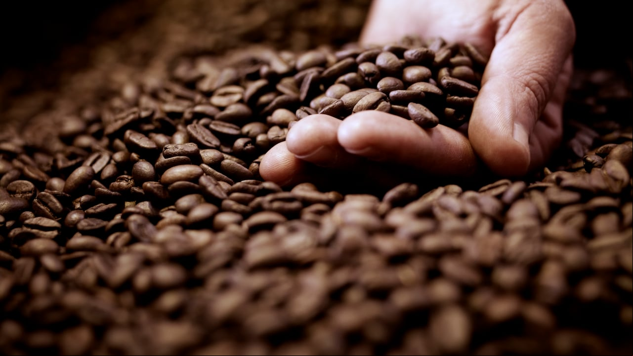 Granos de café