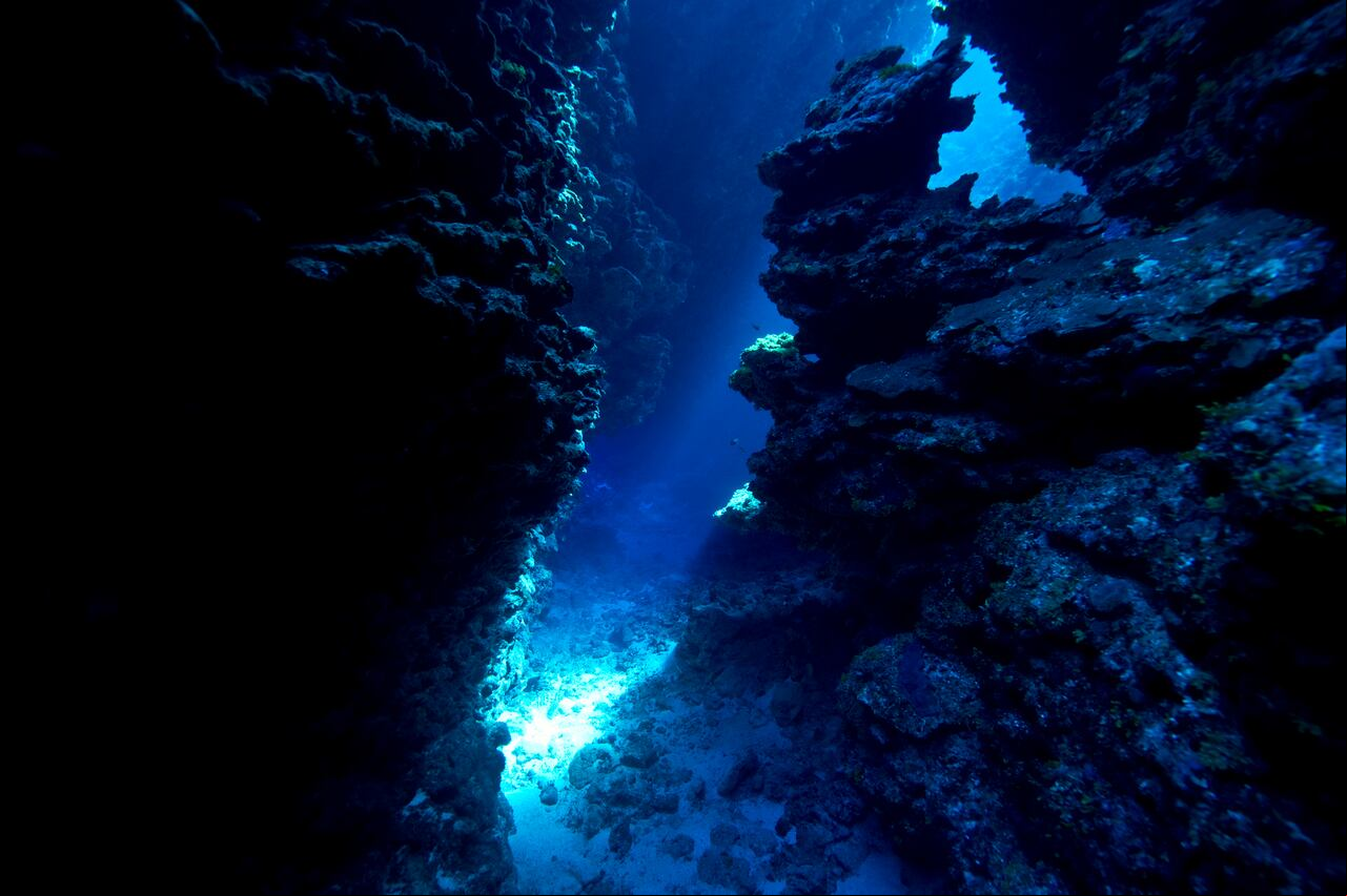 Una cueva submarina conduce a un cañón iluminado por el sol entre arrecifes de coral.