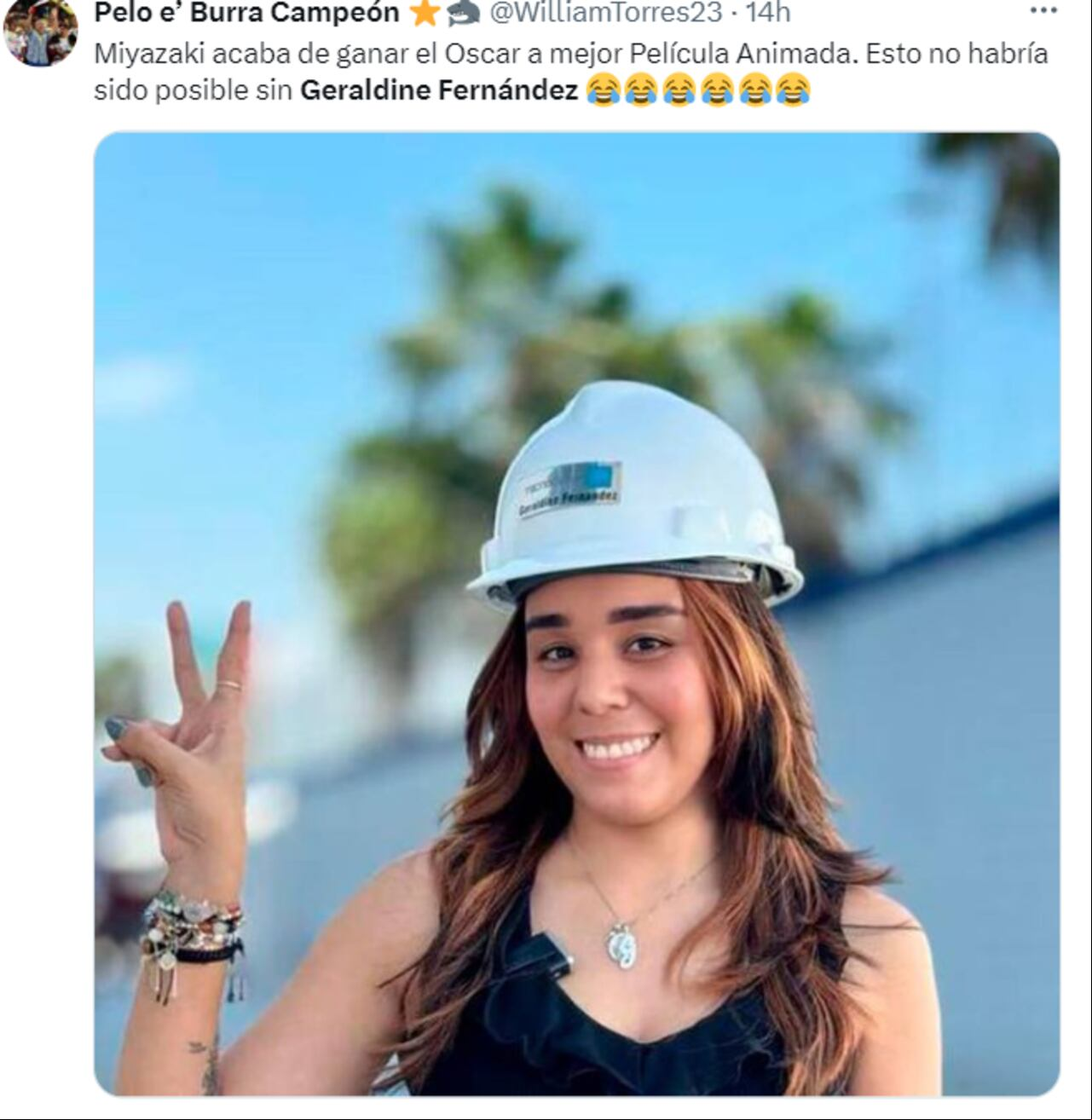 Geraldine Fernández fue motivo de burla en las redes sociales, después de que la película El niño y la Garza ganara premio Óscar.