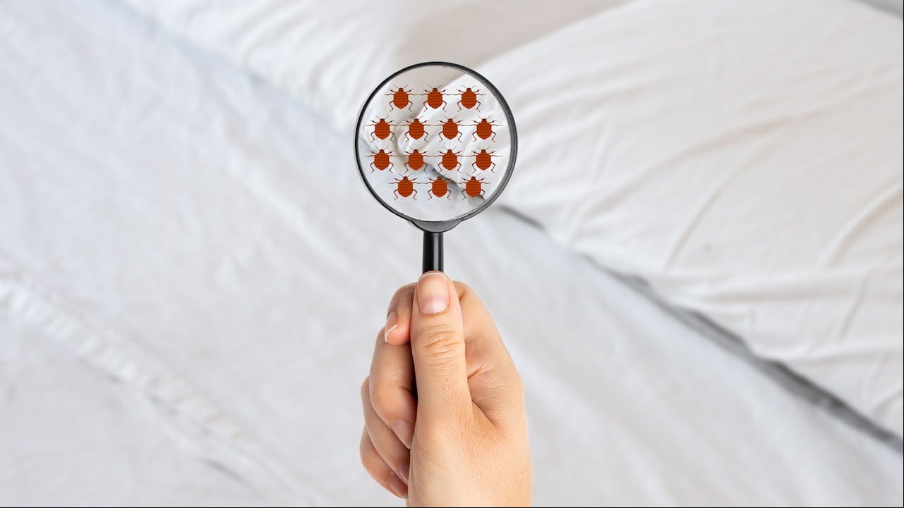 Conejos para que no se apoderen de la cama.