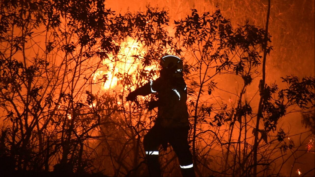 El Fenómeno de El Niño aumenta el riesgo de que ocurran incendios forestales de grandes proporciones. Municipios como Jamundí y Guacarí no cuentan con brigada forestal.