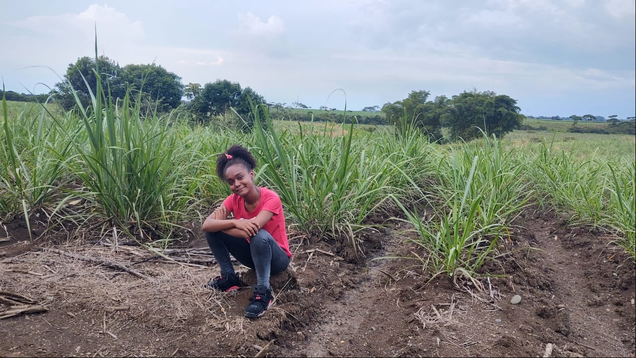 Kelly Johana González Caicedo, es estudiante de ingeniería agropecuaria de la Universidad del Cauca. Actualmente, cursa su noveno semestre y tiene proyectado hacer autosustentable la finca familiar.