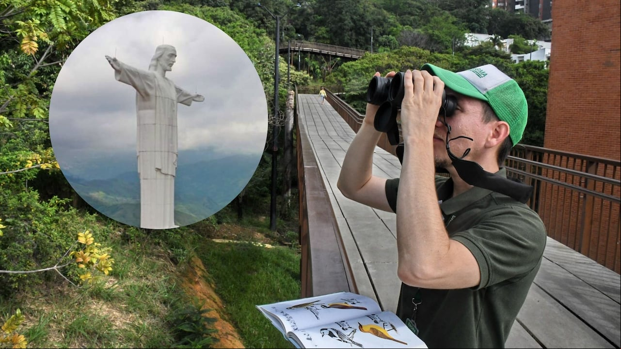 Cristo Rey