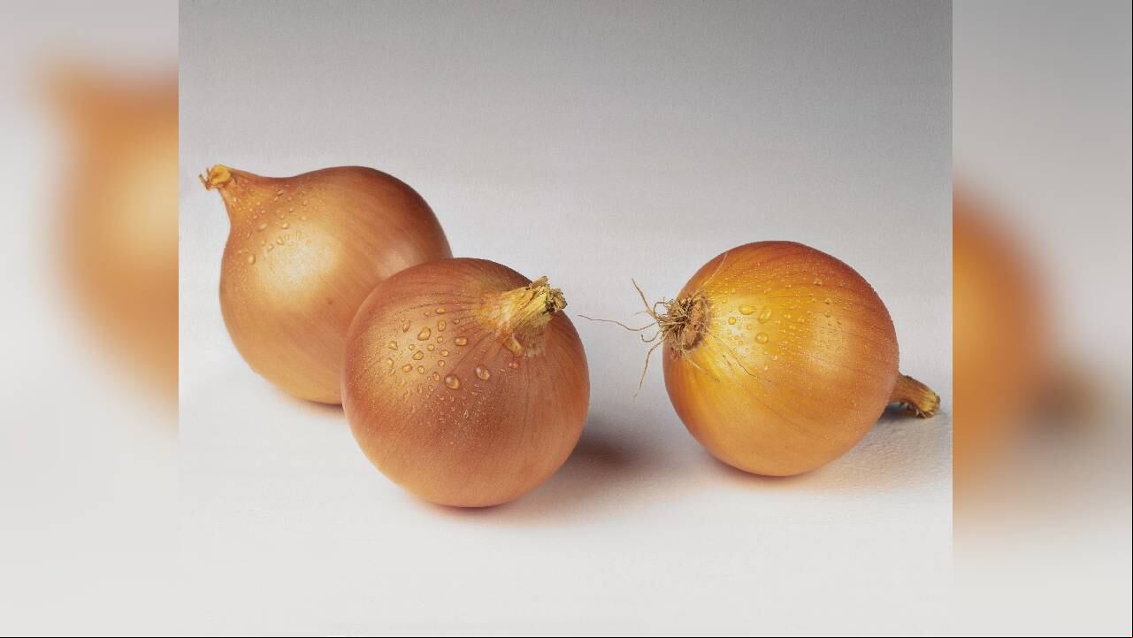 La cebolla contiene una sustancia llamada glucoquinina, que puede disminuir el nivel de azúcar en sangre. Foto: GettyImages.