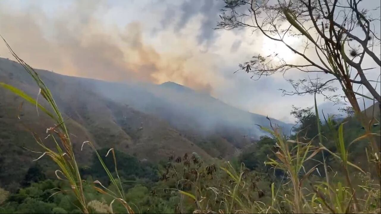 Se presenta incendio forestal en Yumbo este domingo 2 de febrero de 2025