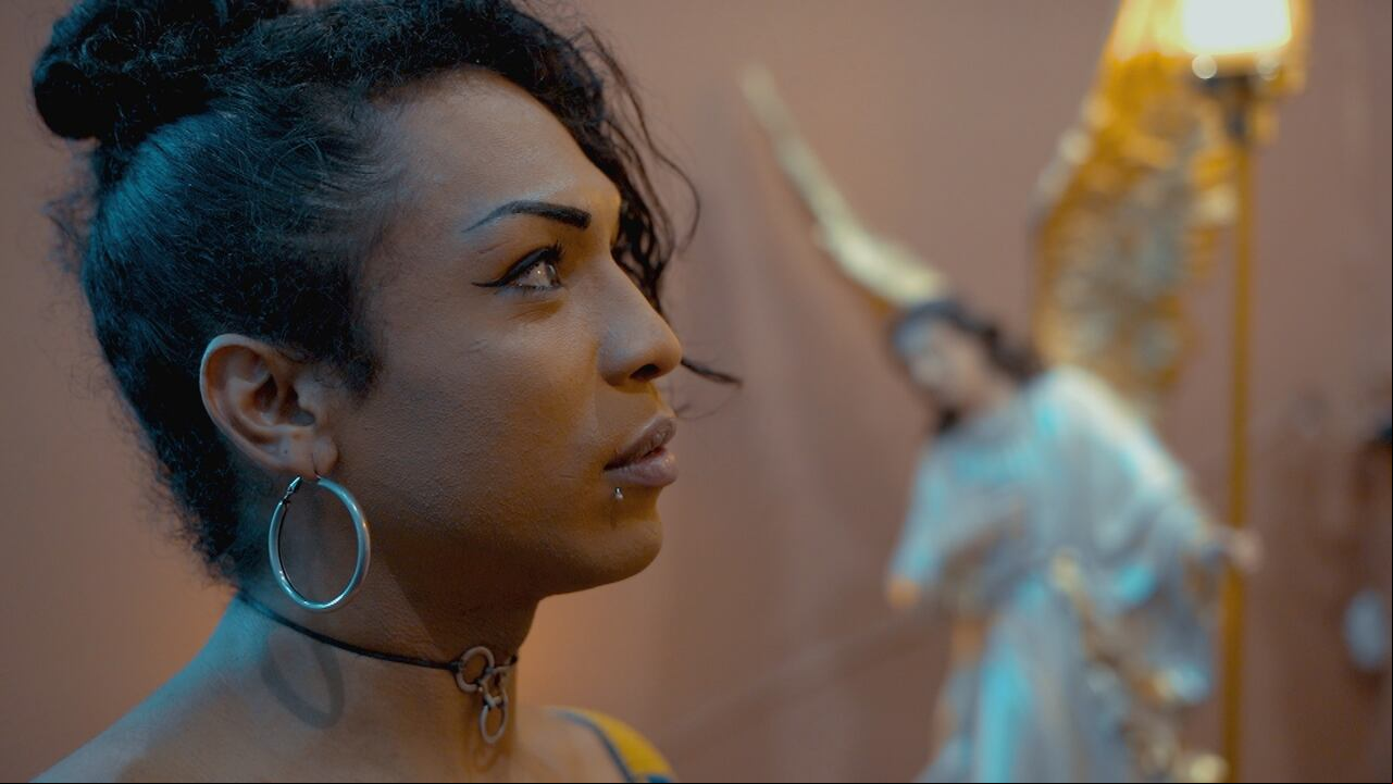 Vuelos de mariposa / Telepacífico