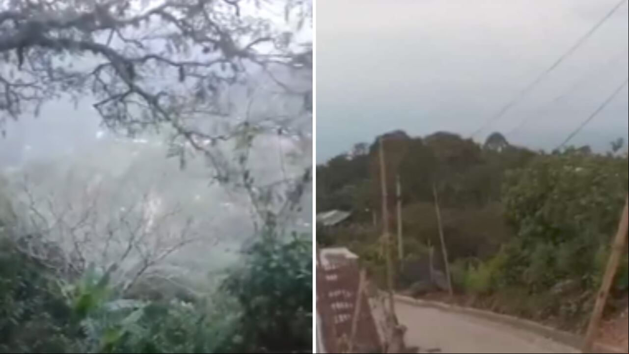 Los combates se reportaron en zona rural del municipio caucano de Corinto.