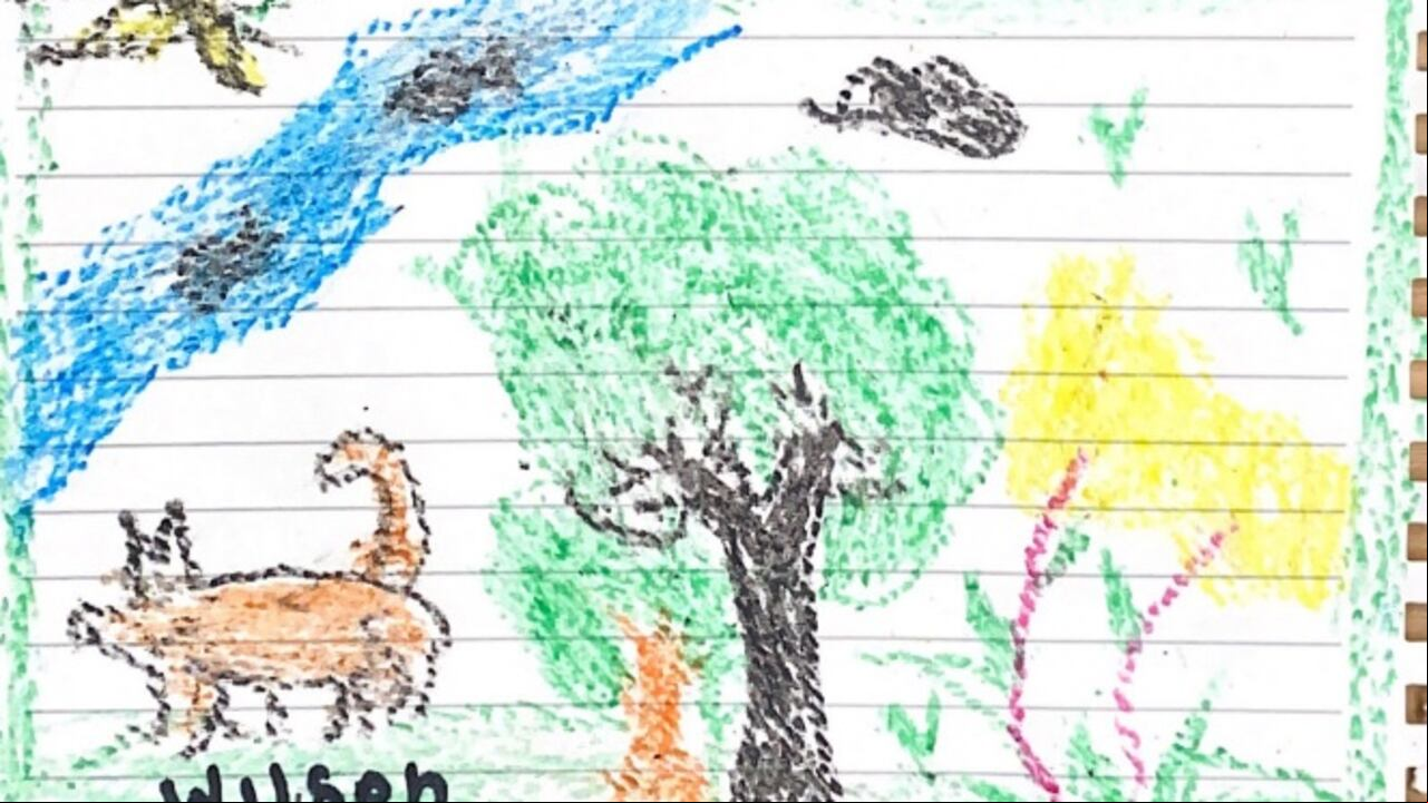 Dibujos realizados por los menores hallados en el Guaviare para Wilson, el perro que los acompañó.