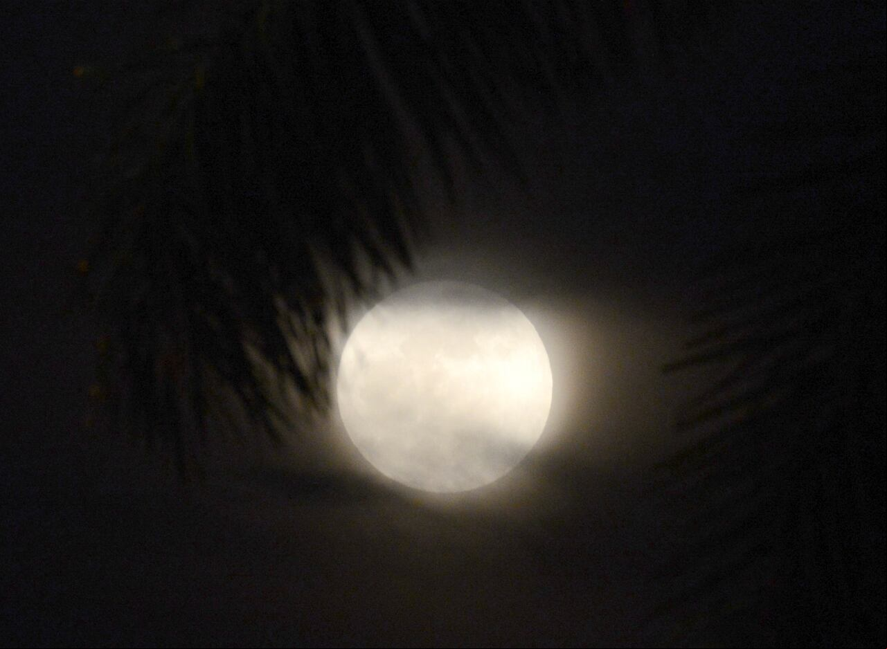Cali: Superluna azul este miércoles 30 de agosto, se pudo apreciar por segunda vez en este mes. Foto José L Guzmán. El País, agosto 29-23.