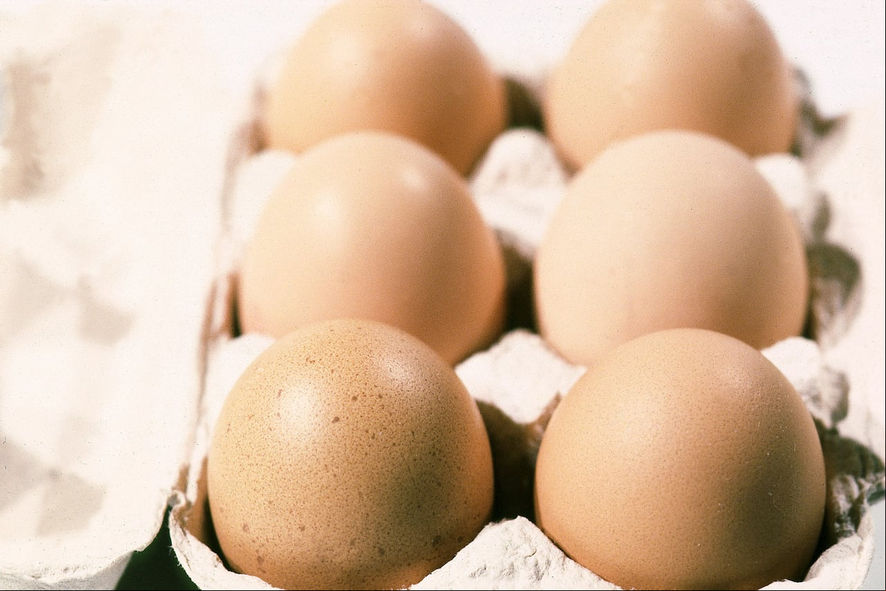 Cubeta de huevos