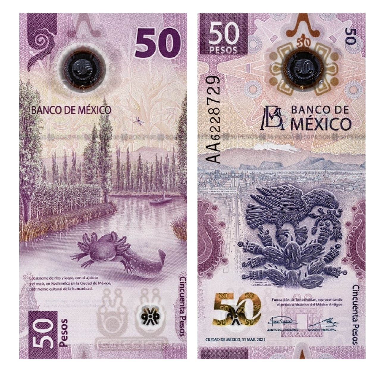 El conocido billete del ajolote.