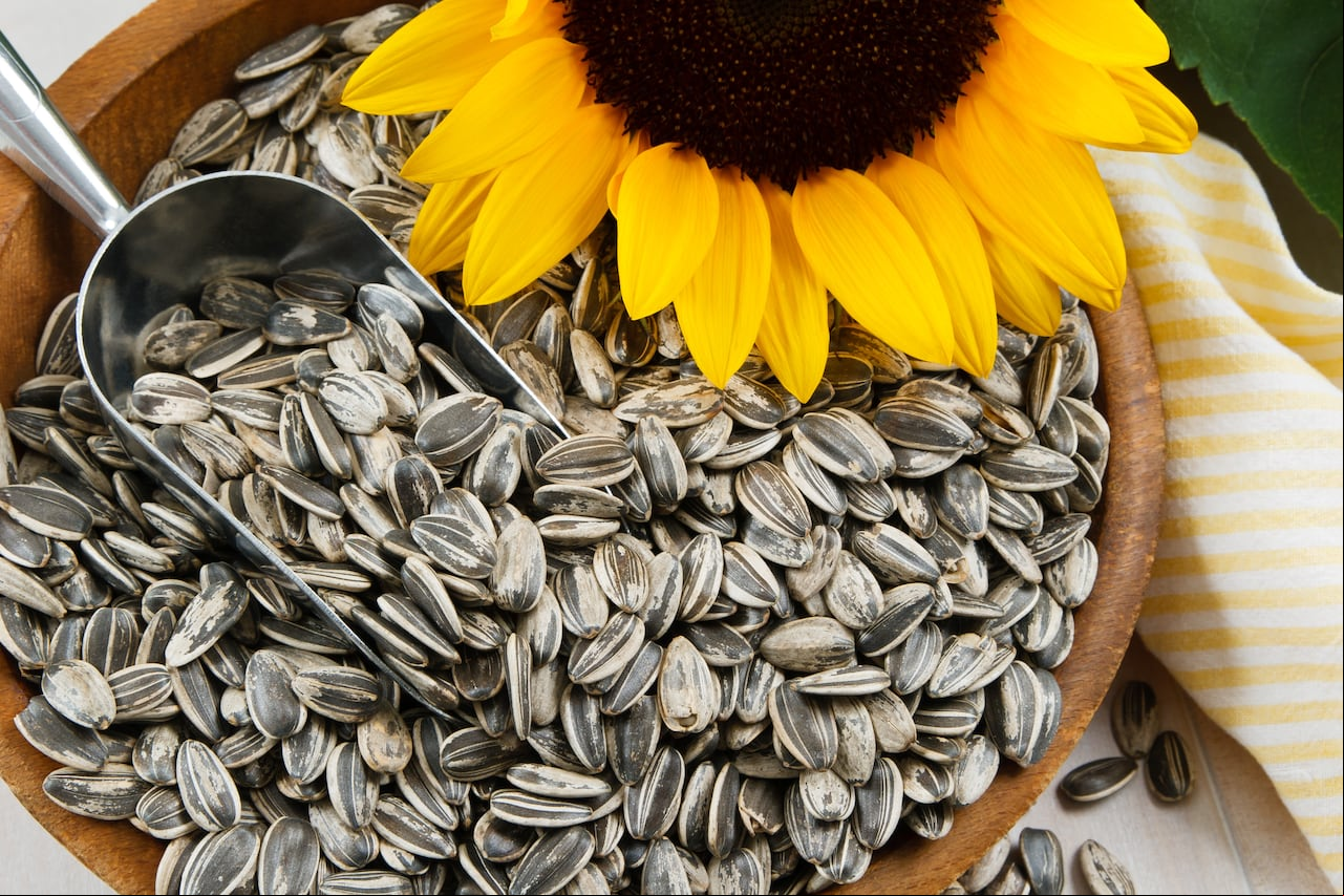 Semillas de girasol