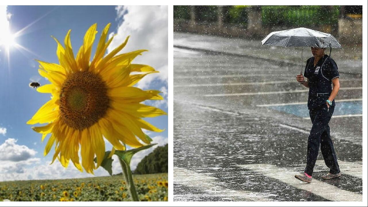 Fenómeno de El NIño y La Niña pesan en la temperatura global