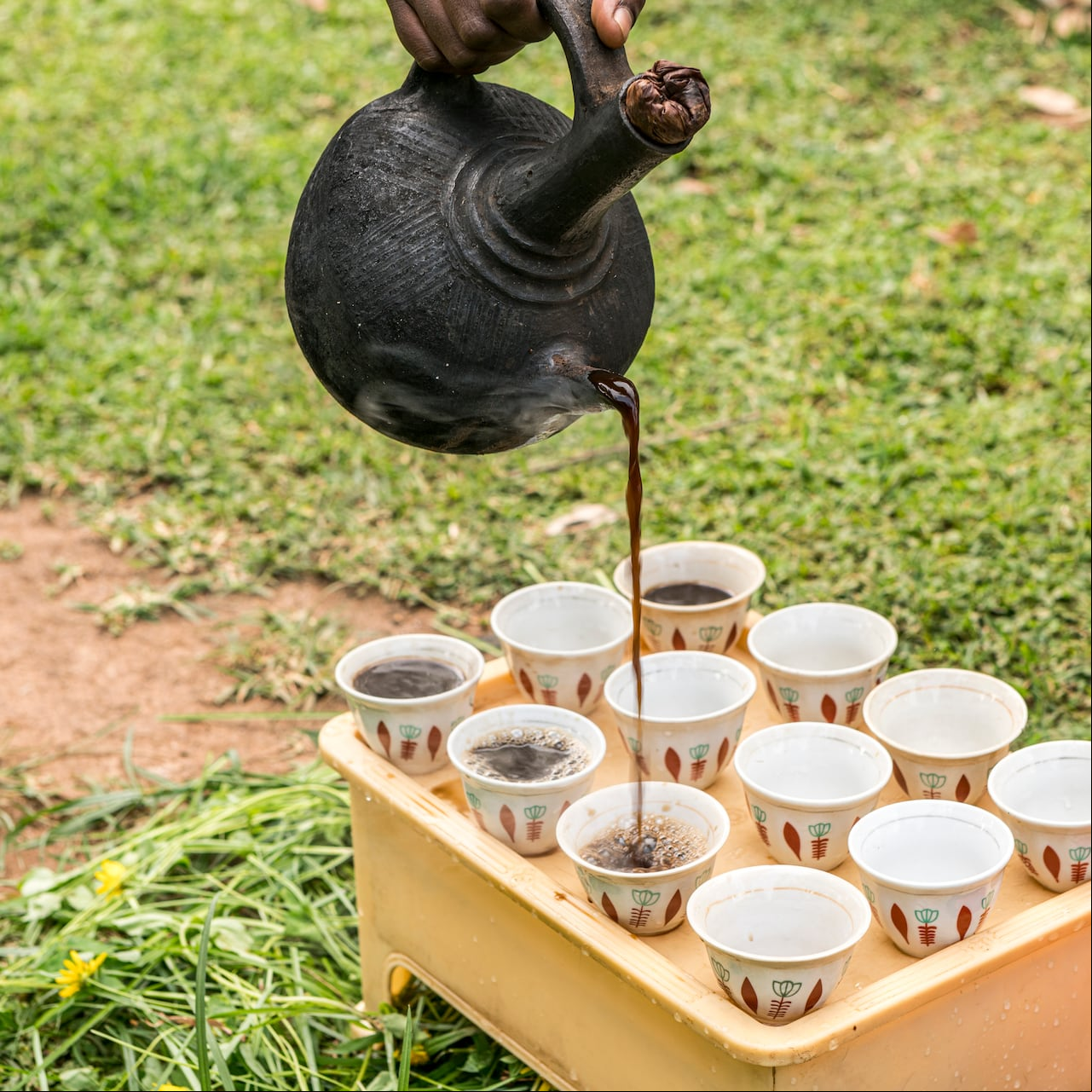 Los cafés recomendados por la IA ofrecen una experiencia sensorial única, con perfiles de sabor que satisfacen incluso a los paladares más exigentes.