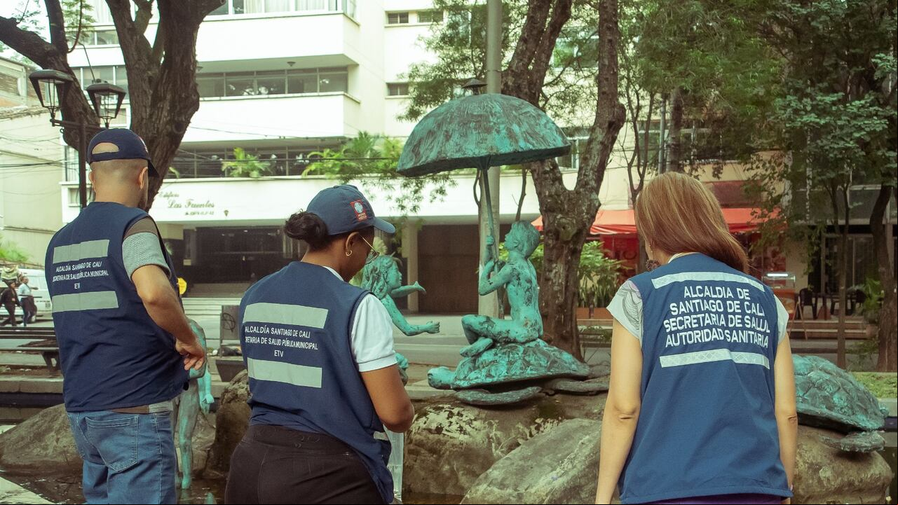 Acciones realizadas por la Secretaría de Salud para hacer frente al brote de dengue