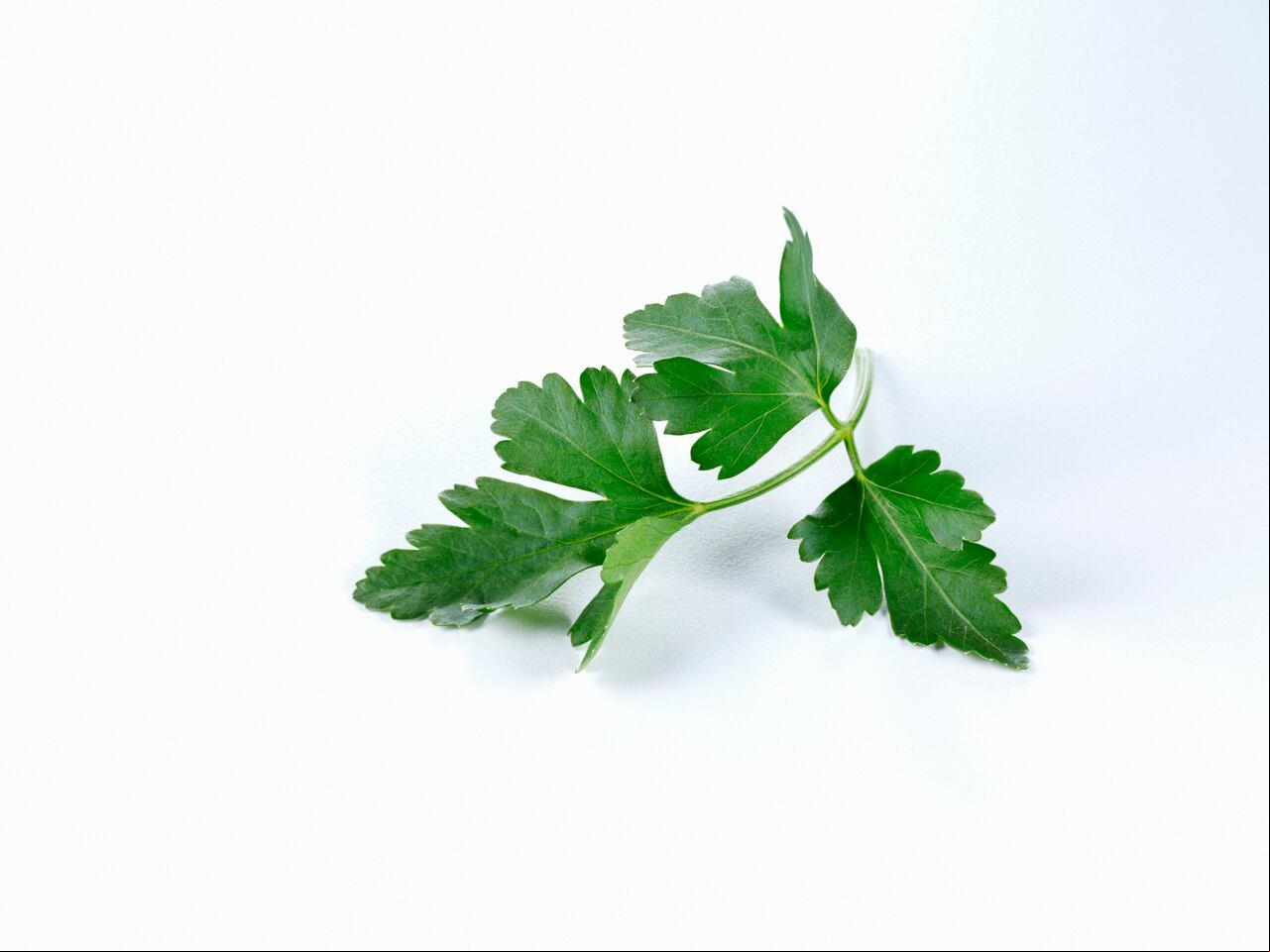 Parsley