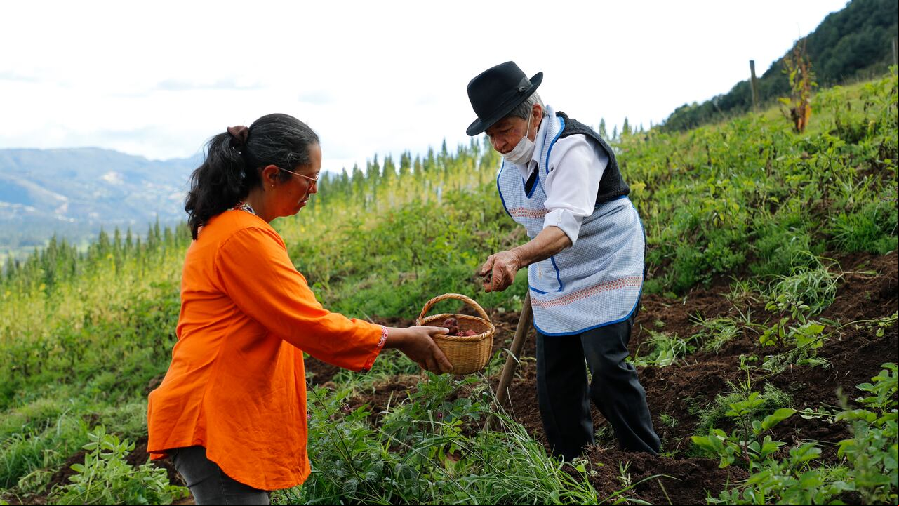 Con la reforma agraria el Gobierno pretende cumplir con el primer punto de los acuerdos de paz en un plazo de 12 años.