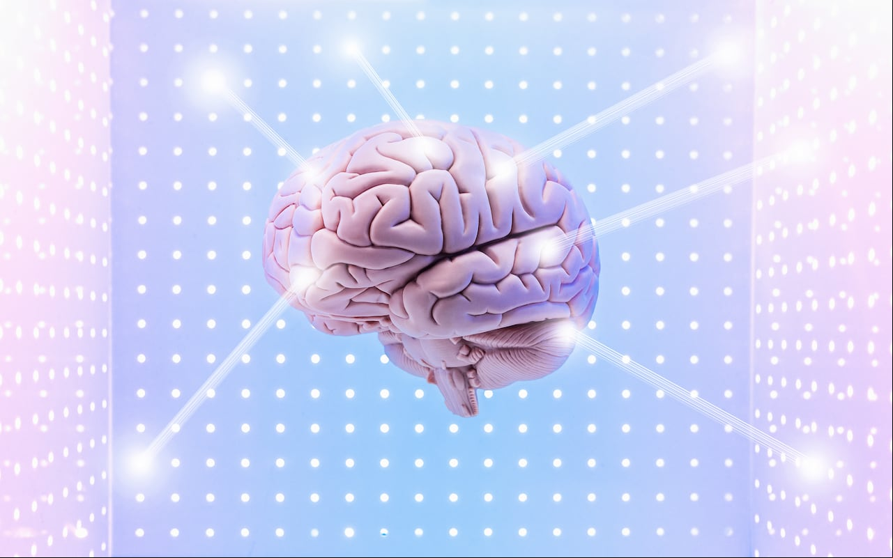 Actividad del cerebro humano