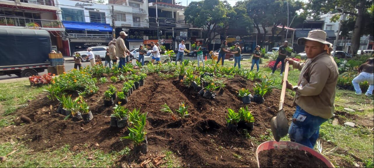Así se vería el jardín de polinizadores en el Parque del Perro.