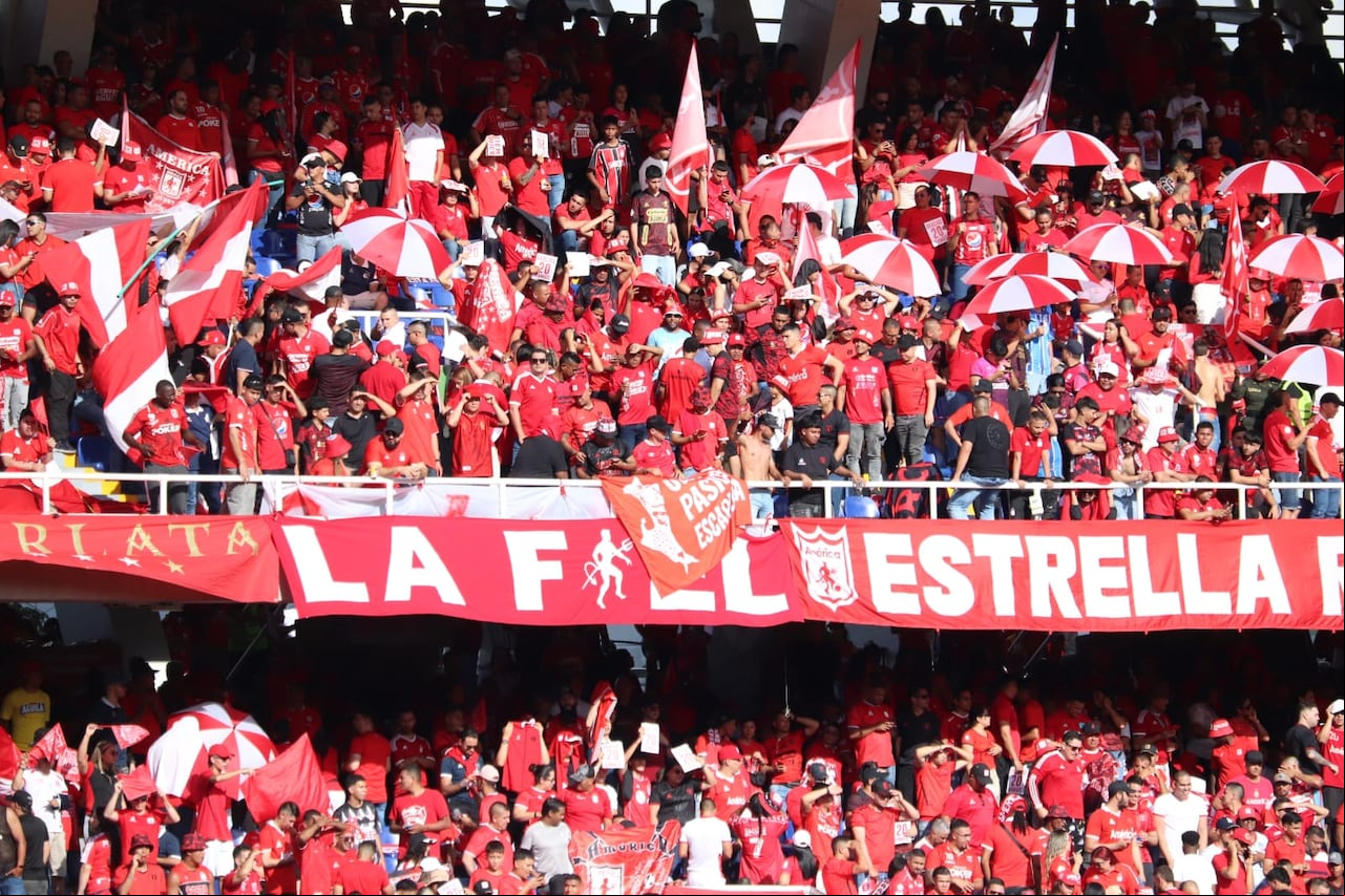 Hinchas América