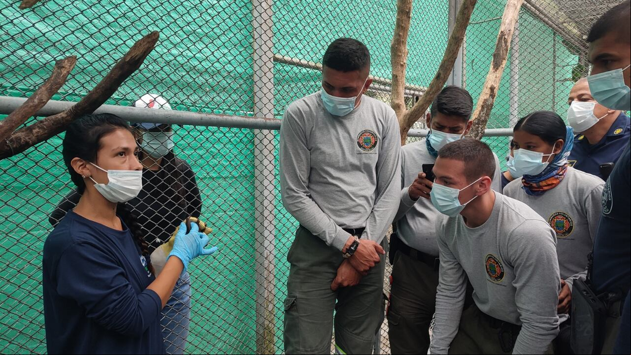 Este es el equipo de la Unidad de Atención y Rescate de Fauna Silvestre del Dagma, el grupo que estará al pendiente de los animales en esta temporada seca.