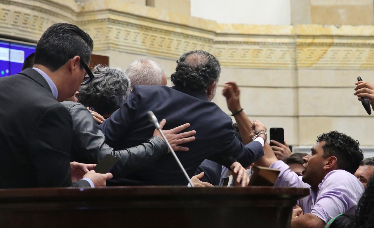 Plenaria de senado, consulta popular