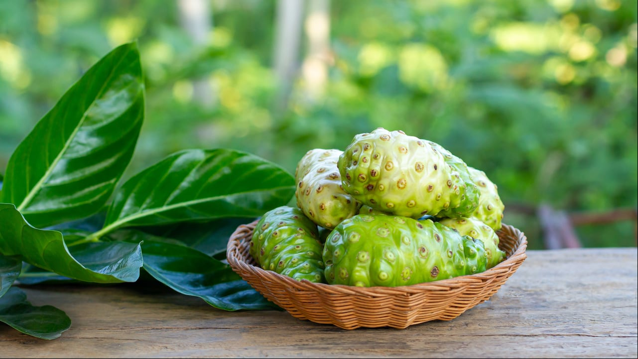 noni
