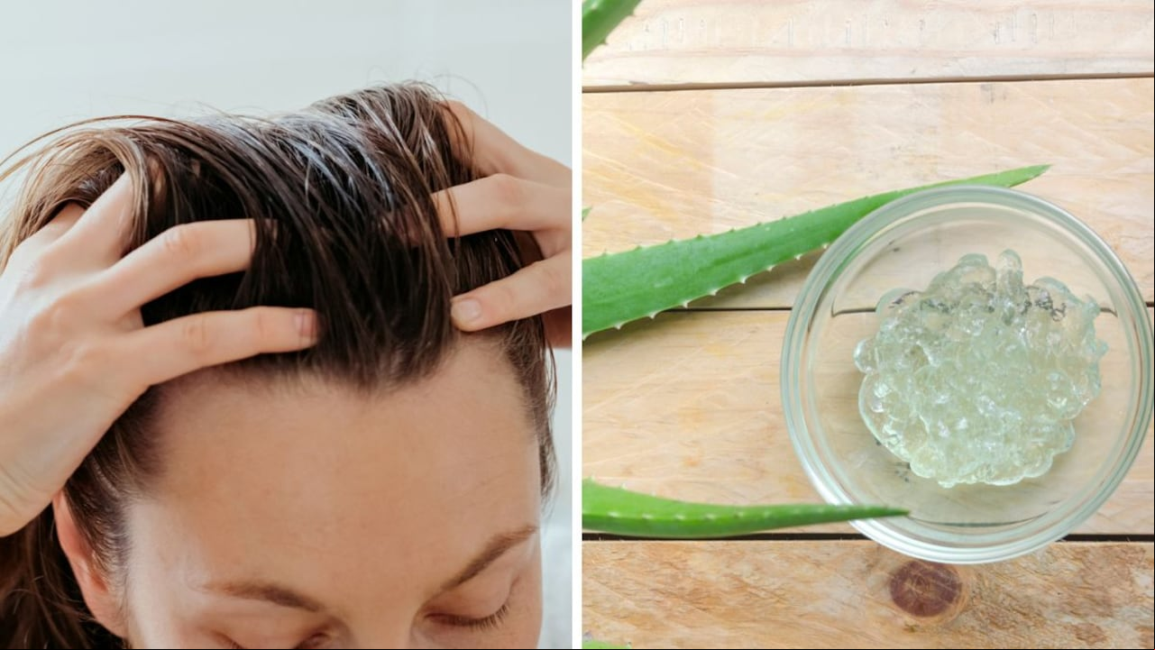 Así se puede engrosar el cabello con sábila.