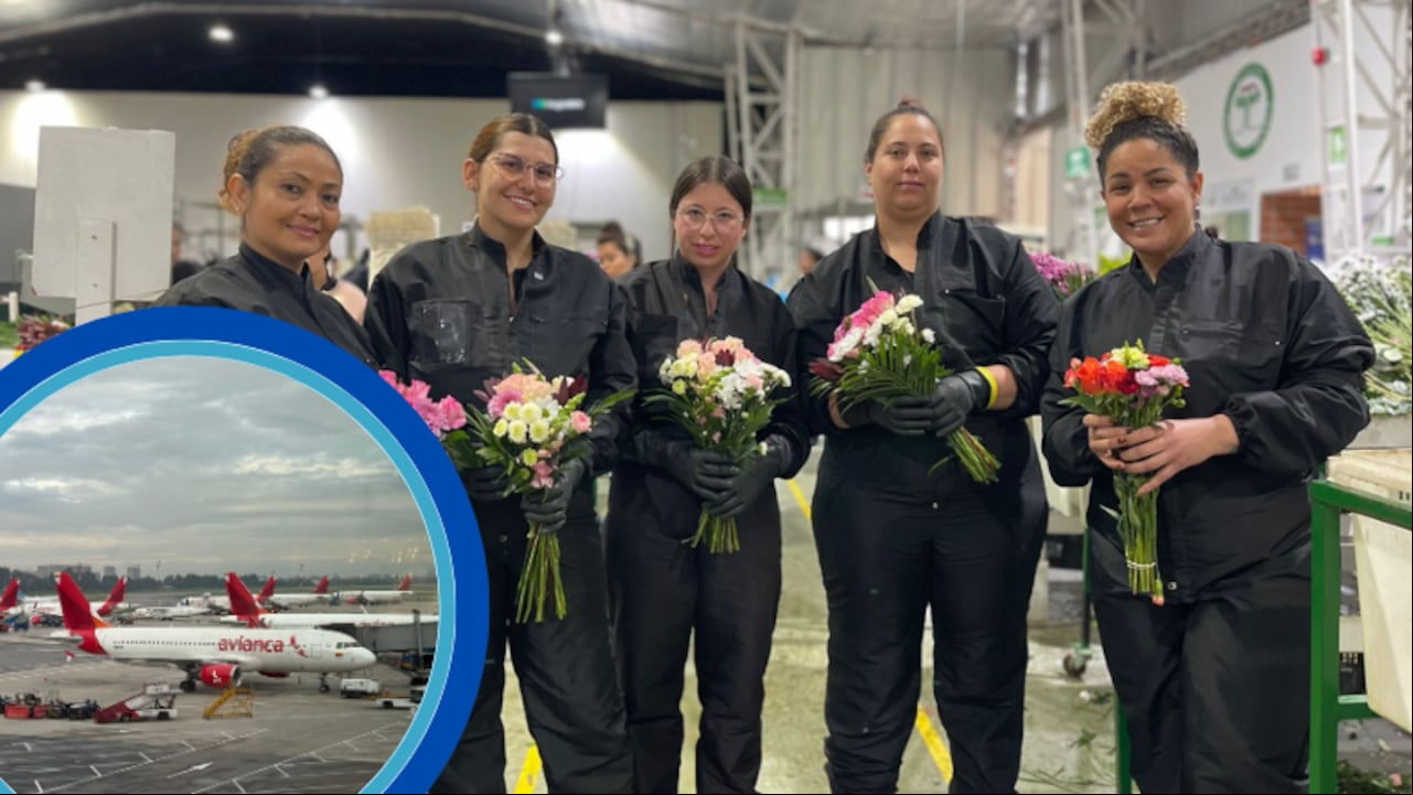 La terminal aérea de Bogotá lidera el transporte de carga en Latinoamérica, movilizando toneladas de flores para la temporada más importante del año para los floricultores colombianos.