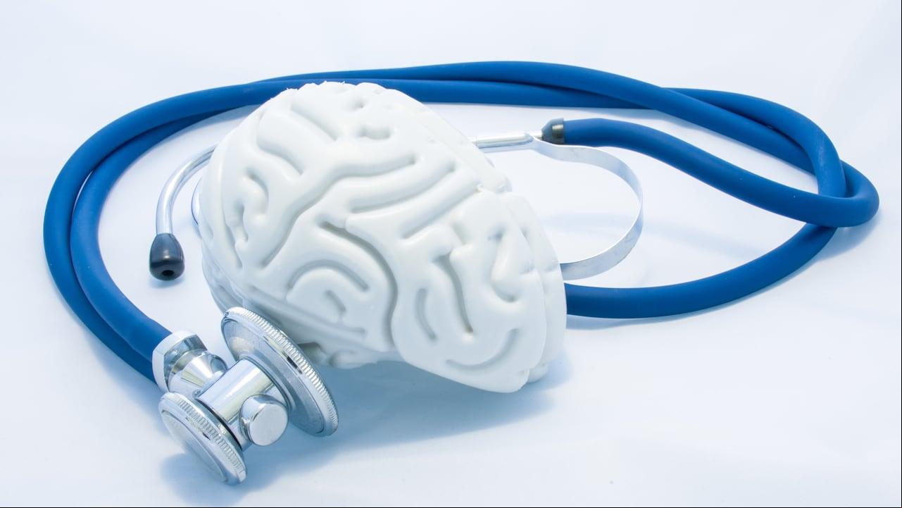 El modelo de cerebro humano con circunvoluciones y estetoscopio azul están sobre fondo blanco uniforme. Concepto de salud fotográfica o condición patológica del cerebro humano, diagnóstico de enfermedades del sistema nervioso