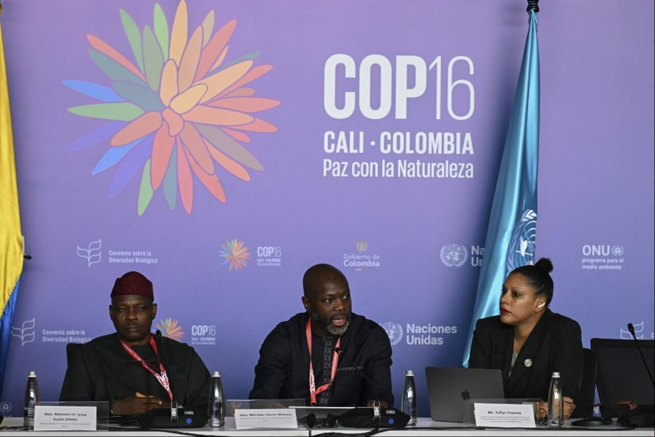El Ministro de Medio Ambiente de Sierra Leona, Jiwoh Abdulai (centro), habla junto a sus homólogos de Nigeria, Iziak Kunle Salako (i), y Granada, Safiya Sawney, durante una conferencia de prensa en la zona azul de la cumbre COP16 en Cali, Colombia, el 30 de octubre. , 2024. (Foto de JOAQUIN SARMIENTO / AFP)