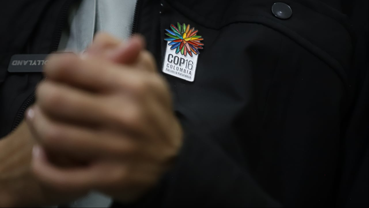 La COP16 es la Conferencia de las Naciones Unidas sobre Biodiversidad, esta se realizará en Cali entre el 21 de octubre y el 1 de noviembre de 2024.