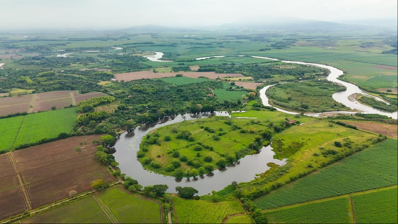 En el Valle del Cauca hay 112 humedales que suman aproximadamente 2595 hectáreas, sobre los cuales la CVC busca su protección.