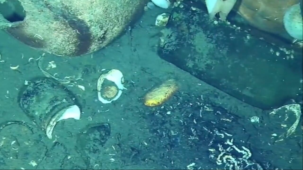 Más elementos encontrados en el Galeón San José