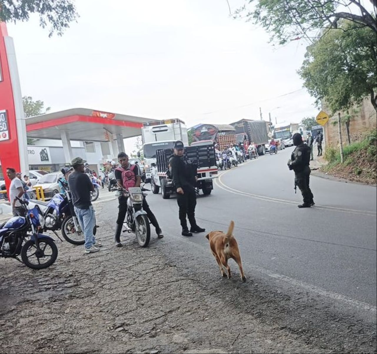 Las autoridades, a la altura de El Bordo, Cauca, detuvieron la marcha de los vehículos tras comprobarse de la existencia en este punto de la Panamericana de un paquete que al parecer tiene explosivos.
