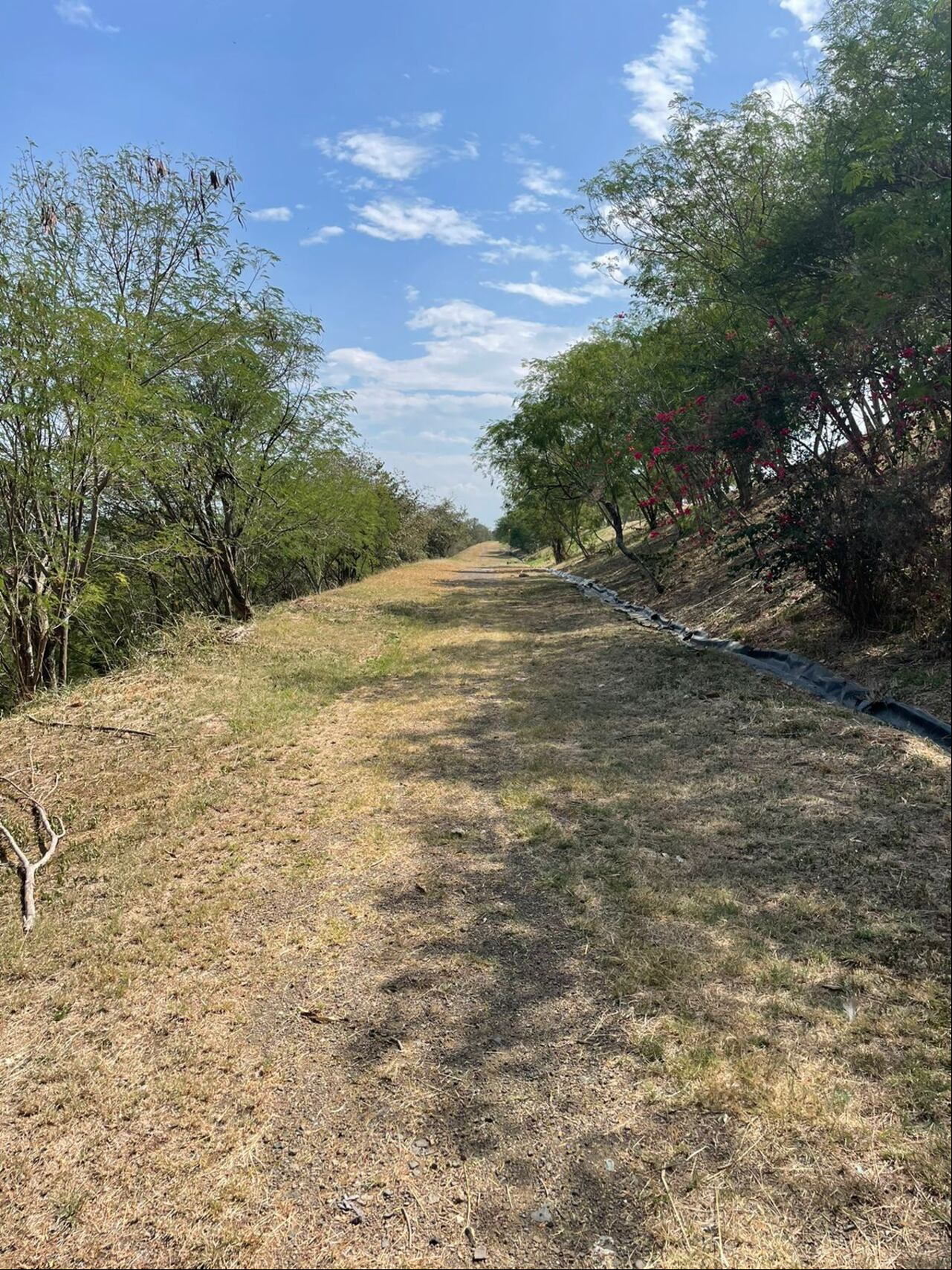 Se han adecuado senderos que podrían usarse para recorridos próximamente.