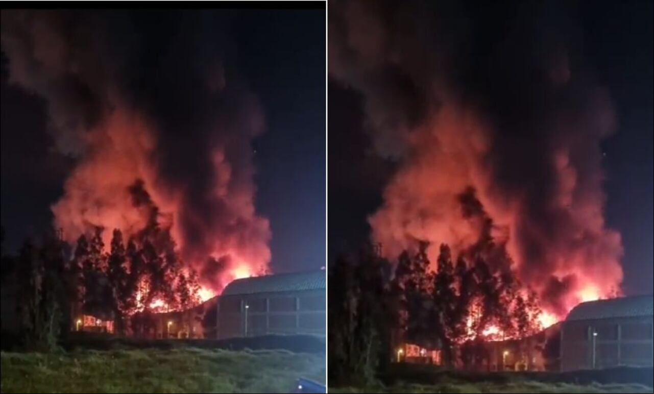 El incendio se presentó en la empresa colombiana Trading Foods, dedicada a fabricar cereales.