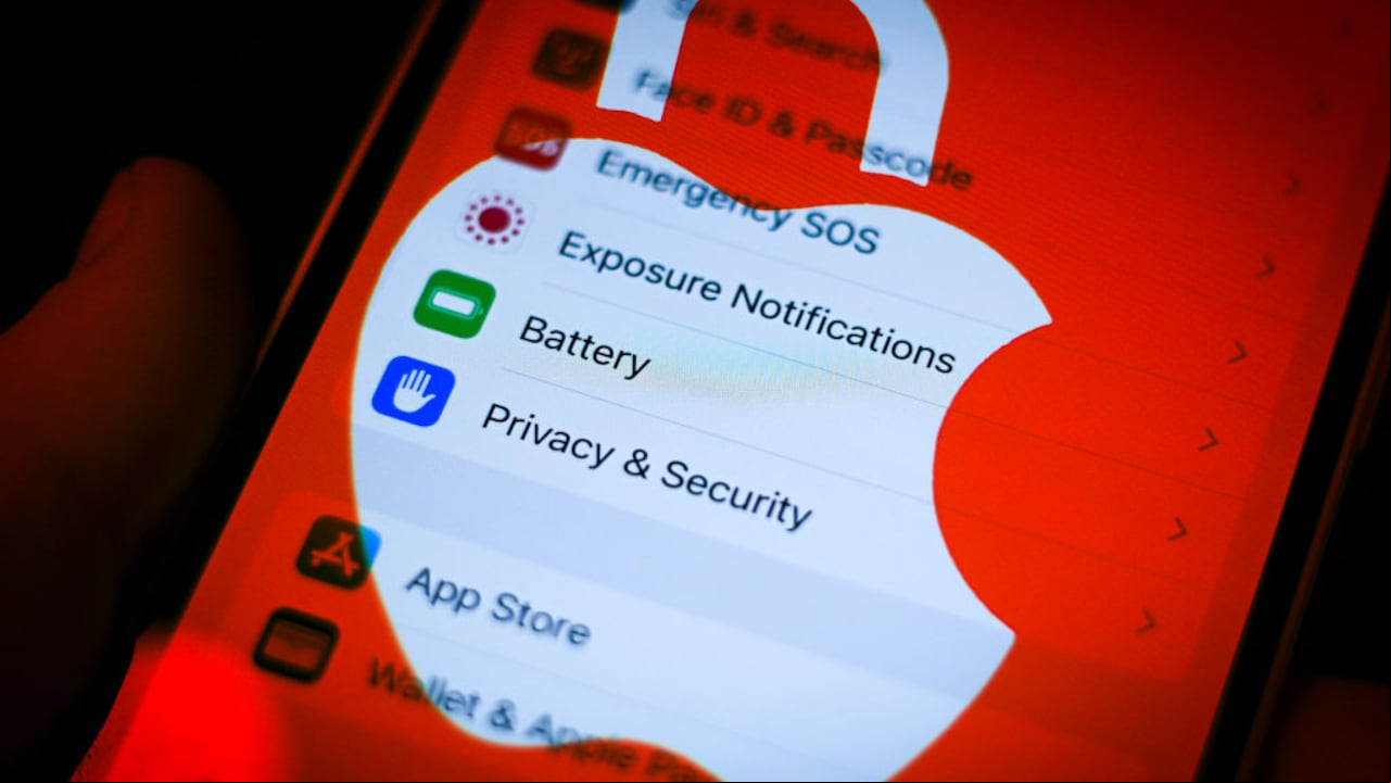 Conozca diferentes opciones para prevenir perdidas de sus datos ante el spam