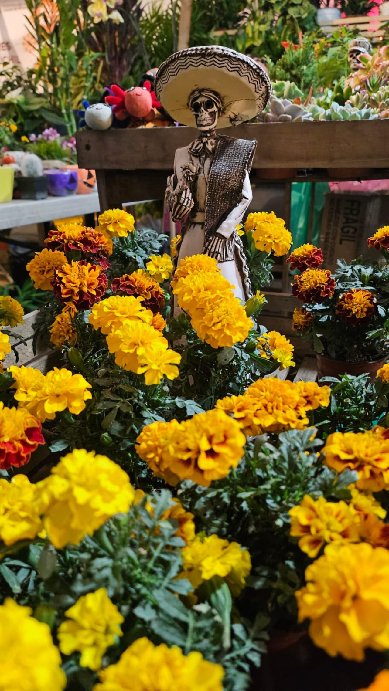 Festival de flores de Cempasuchil en Paseo de la Reforma en Ciudad de México. Juan Carlos Moreno Urán