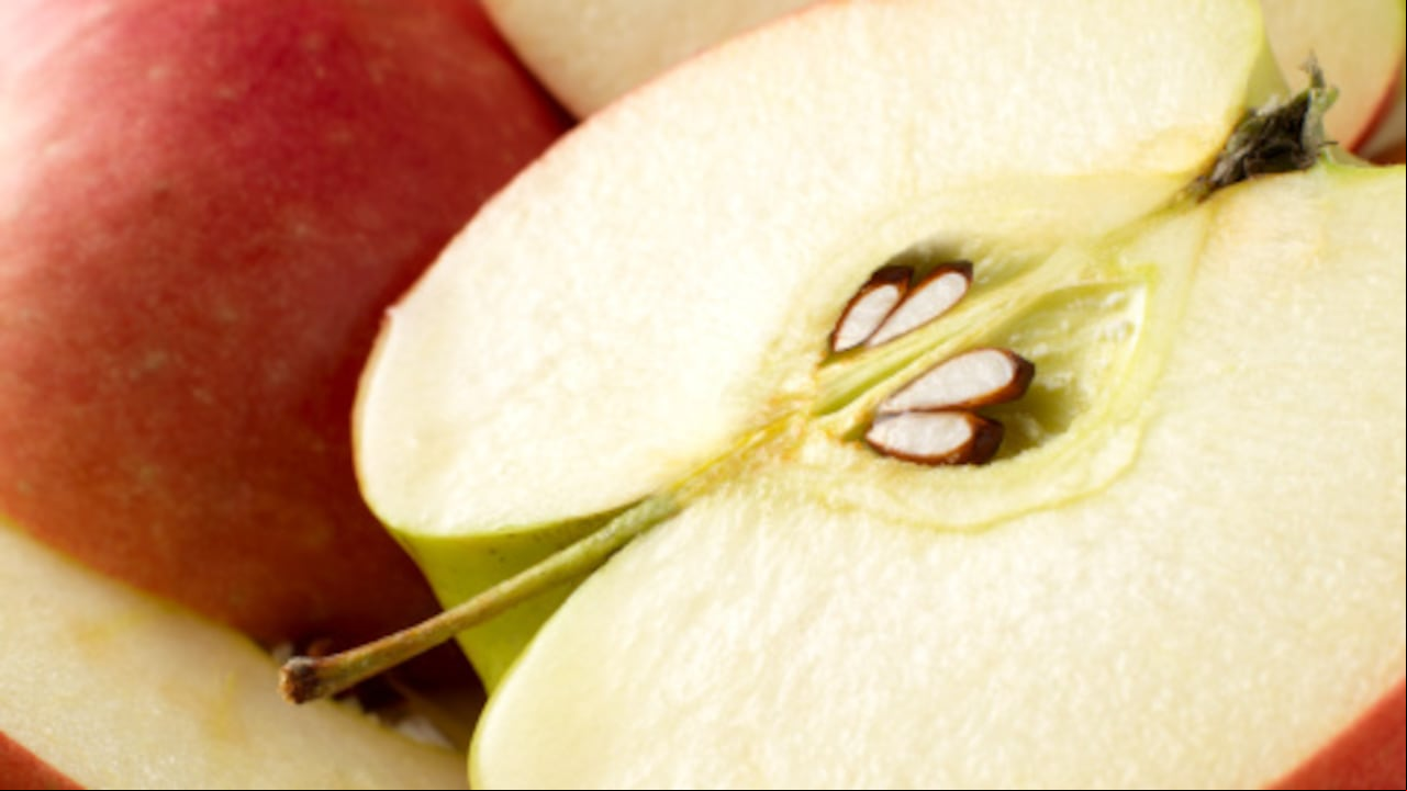 ¿Qué pasa si se comen la semillas de la manzana, es peligroso?