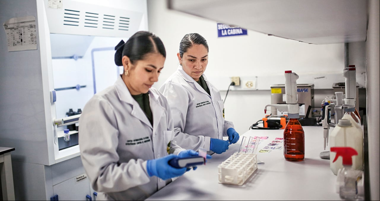 El fentanilo causó, solamente en 2022, alrededor de 10.000 muertes por sobredosis. La sustancia es 100 veces más potente que la heroína.