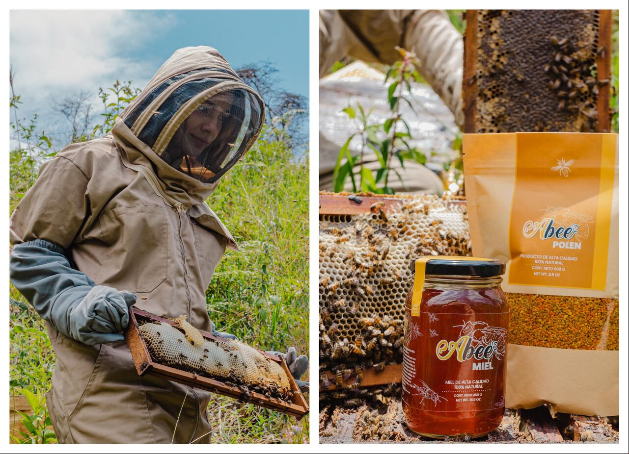 La iniciativa “Abee” nace de dos hermanas, Stephania B. Arévalo y Francia Elena G. Arévalo, es un emprendimiento sostenible que promueve la apicultura colombiana como un pilar para la conservación ambiental.