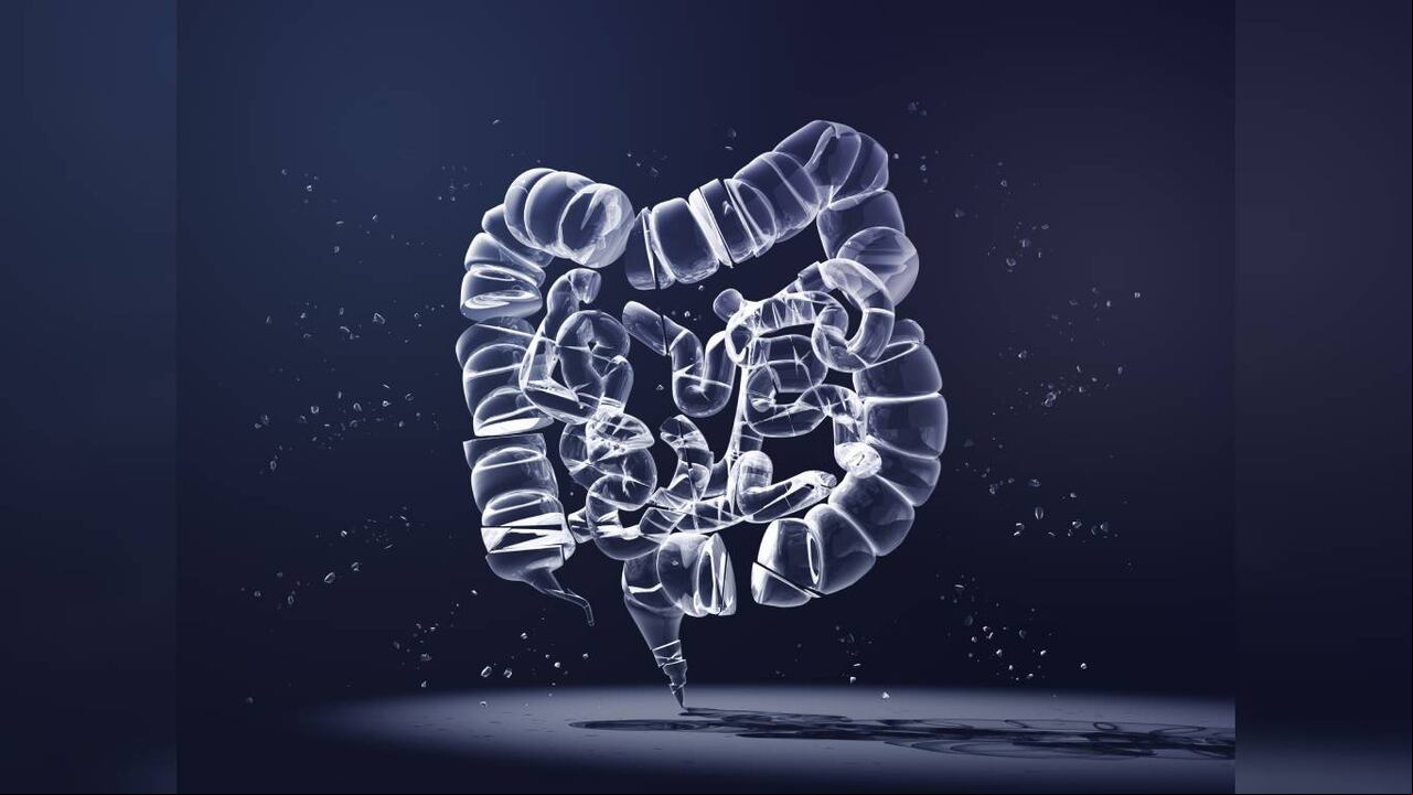 La obstrucción intestinal puede causar pérdida del apetito y estreñimiento. Foto: Getty Images.