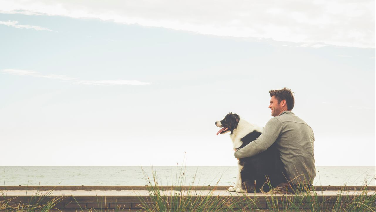 La relación entre un perro y su humano se basa en el amor, el respeto y la reciprocidad, donde el seguimiento puede ser solo una expresión de estos valores compartidos.
