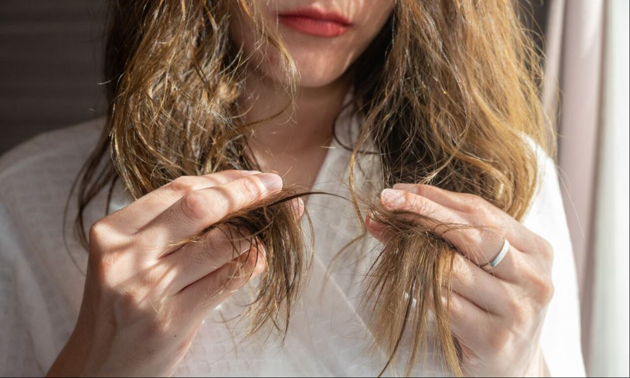 Reparar el cabello seco con miel.