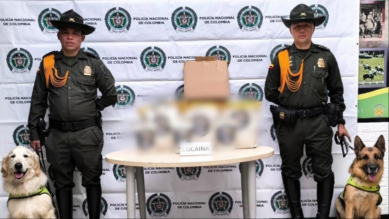 Cargamento de droga hallado en El Dorado.