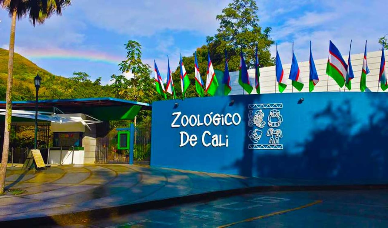 El hecho ocurrió a las afueras del Zoológico de Cali.